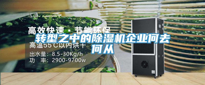 转型之中的91免费网站在线观看企业何去何从
