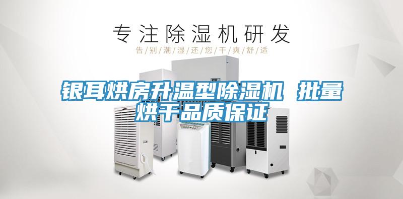 银耳烘房升温型91免费网站在线观看 批量烘干品质保证