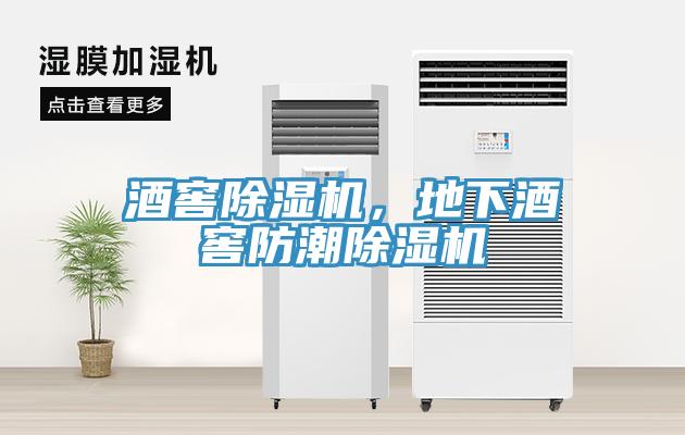 酒窖91免费网站在线观看，地下酒窖防潮91免费网站在线观看