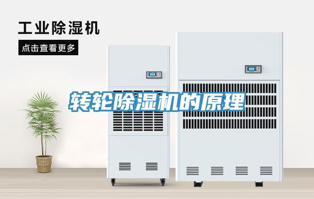 转轮91免费网站在线观看的原理