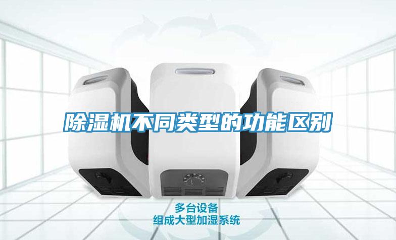 91免费网站在线观看不同类型的功能区别