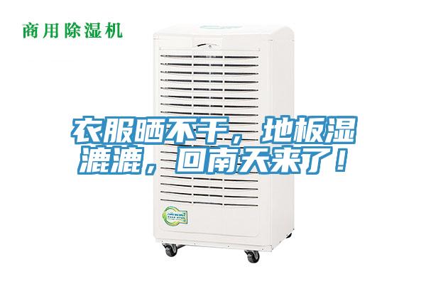 衣服晒不干，地板湿漉漉，回南天来了！
