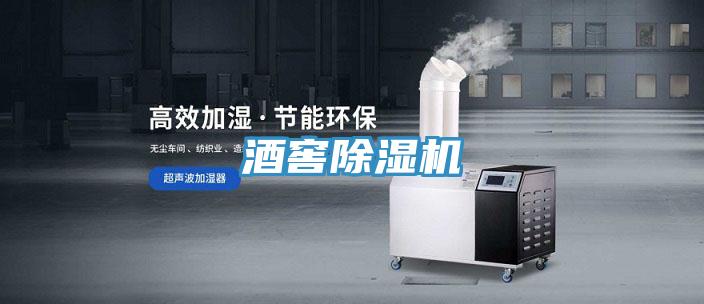 酒窖91免费网站在线观看