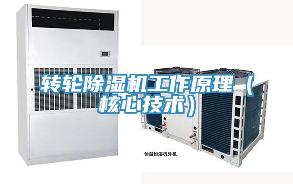 转轮91免费网站在线观看工作原理（核心技术）
