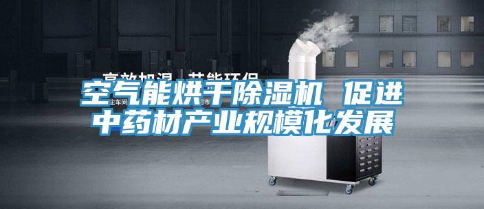 空气能烘干91免费网站在线观看 促进中药材产业规模化发展