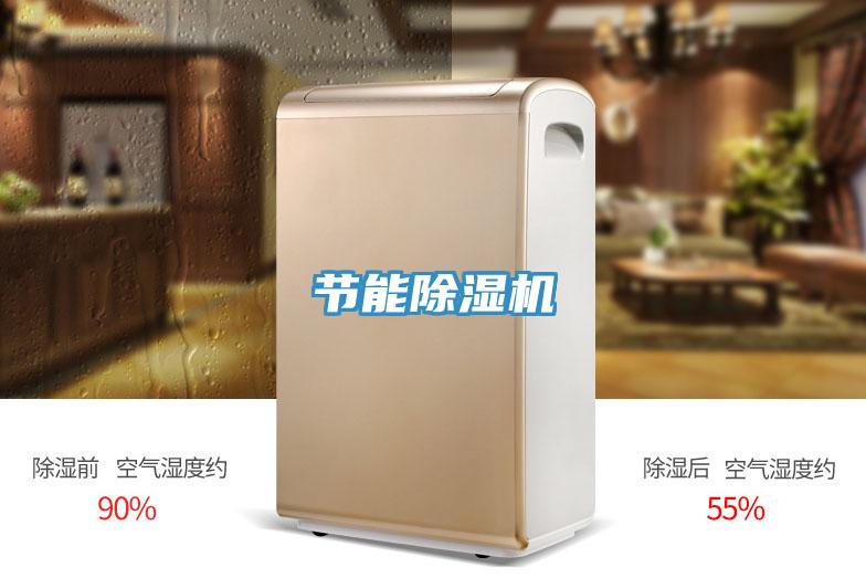 节能91免费网站在线观看