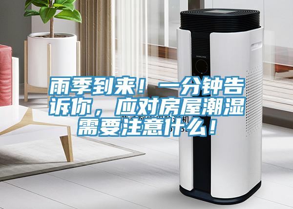 雨季到来！一分钟告诉你，应对房屋潮湿需要注意什么！