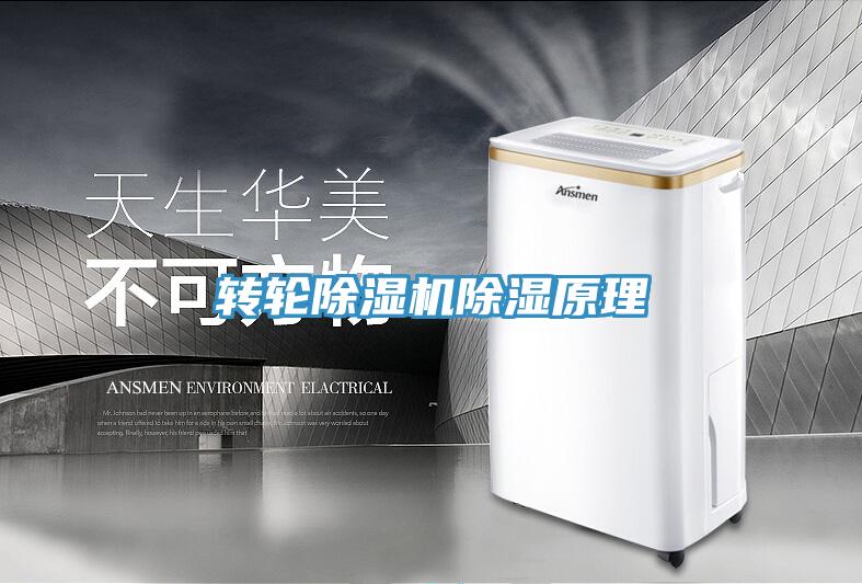 转轮91免费网站在线观看除湿原理