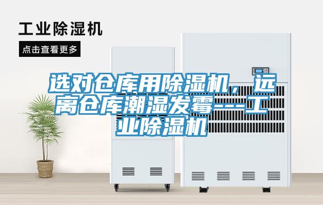 选对仓库用91免费网站在线观看，远离仓库潮湿发霉---工业91免费网站在线观看