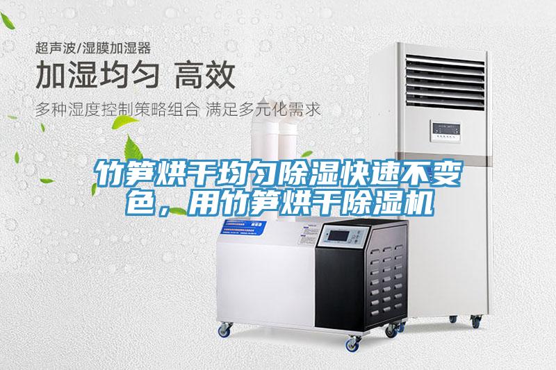 竹笋烘干均匀除湿快速不变色，用竹笋烘干91免费网站在线观看