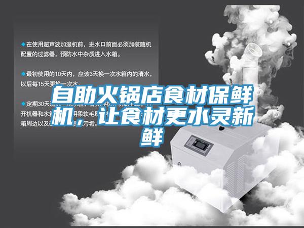 自助火锅店食材保鲜机，让食材更水灵新鲜
