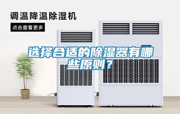 选择合适的除湿器有哪些原则？