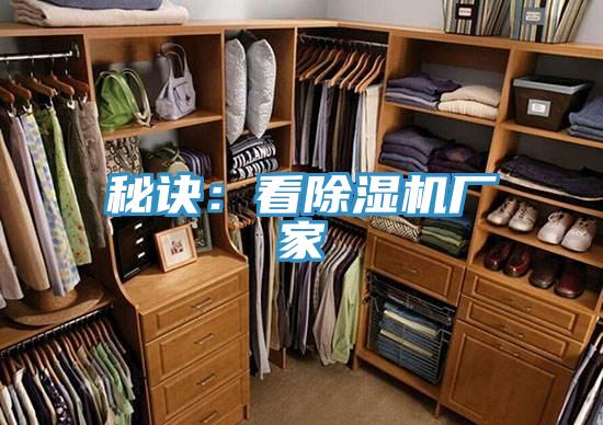 秘诀：看91免费网站在线观看厂家
