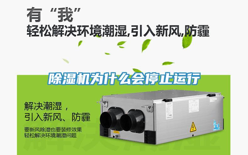 91免费网站在线观看为什么会停止运行