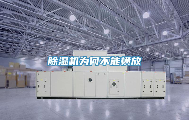 91免费网站在线观看为何不能横放