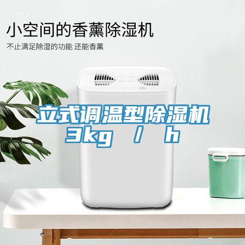 立式调温型91免费网站在线观看3kg ／ h