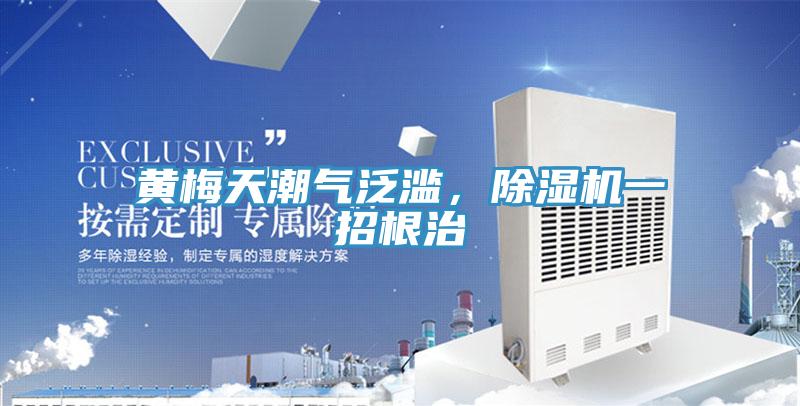 黄梅天潮气泛滥，91免费网站在线观看一招根治
