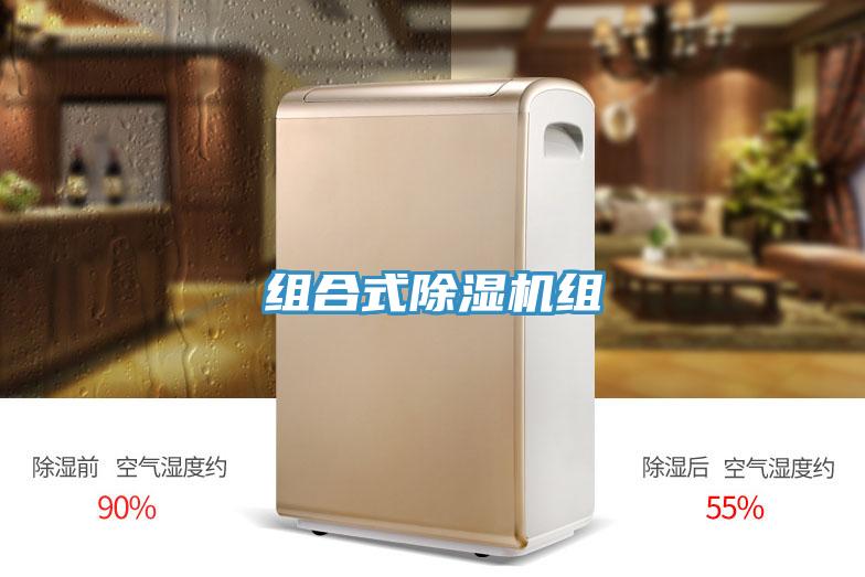 组合式91免费网站在线观看组