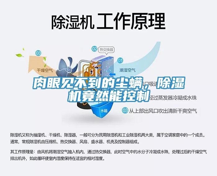 肉眼见不到的尘螨，91免费网站在线观看竟然能控制