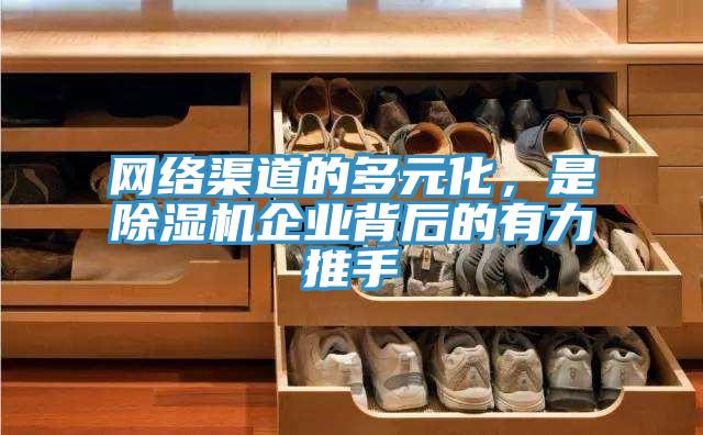 网络渠道的多元化，是91免费网站在线观看企业背后的有力推手