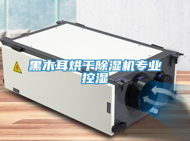 黑木耳烘干91免费网站在线观看专业控湿
