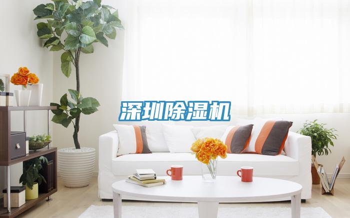 深圳91免费网站在线观看