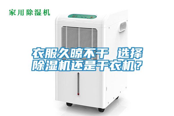 衣服久晾不干 选择91免费网站在线观看还是干衣机？