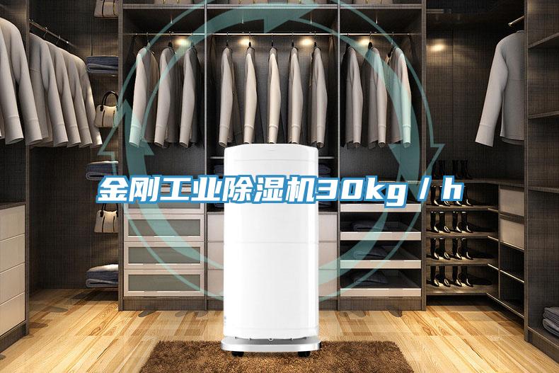金刚工业91免费网站在线观看30kg／h
