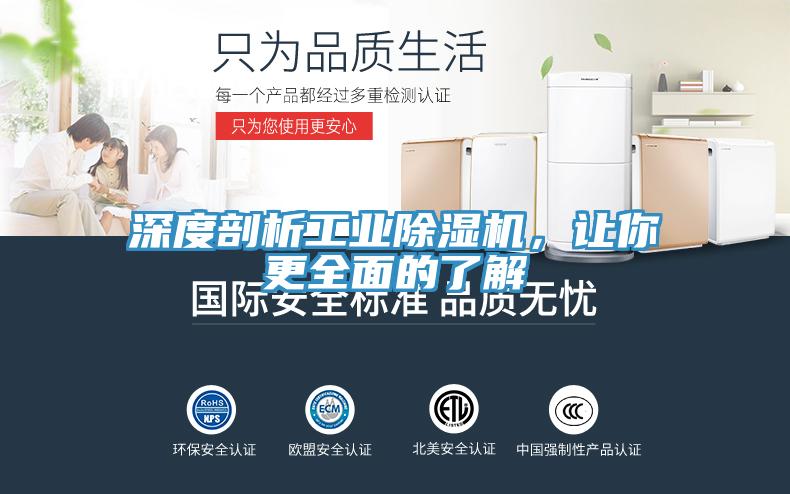 深度剖析工业91免费网站在线观看，让你更全面的了解
