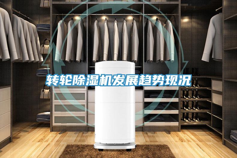 转轮91免费网站在线观看发展趋势现况