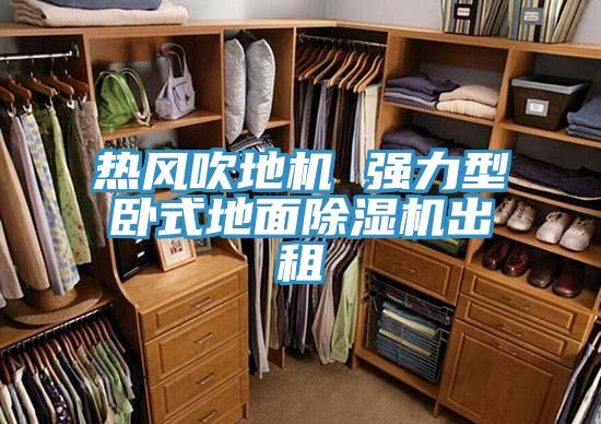 热风吹地机 强力型卧式地面91免费网站在线观看出租