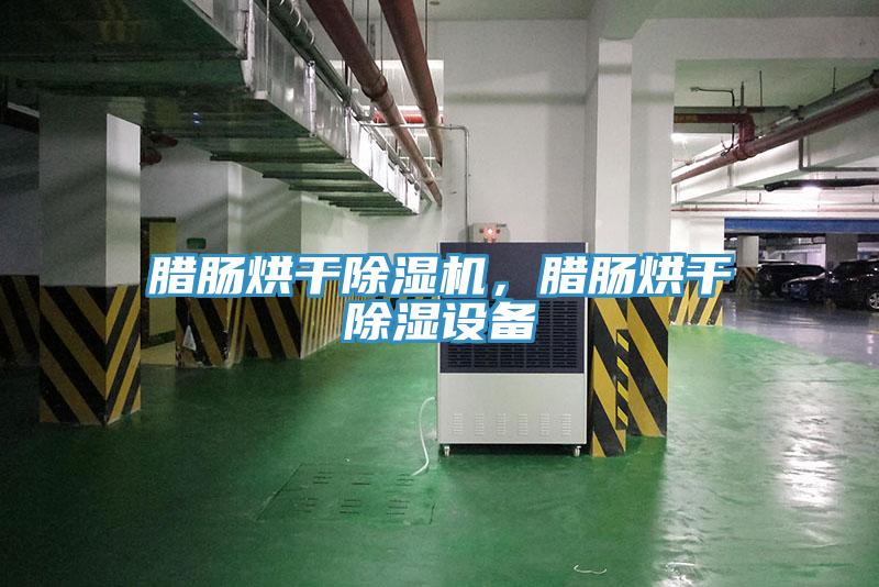腊肠烘干91免费网站在线观看，腊肠烘干除湿设备
