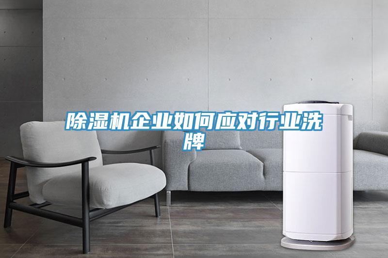 91免费网站在线观看企业如何应对行业洗牌