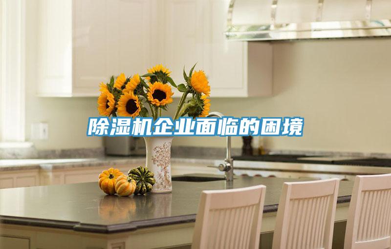 91免费网站在线观看企业面临的困境