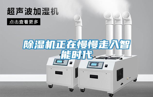 91免费网站在线观看正在慢慢走入智能时代