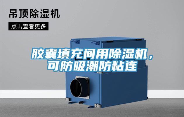 胶囊填充间用91免费网站在线观看，可防吸潮防粘连