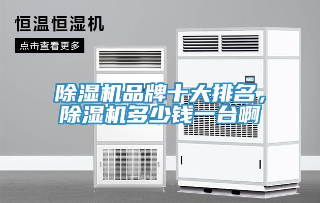 91免费网站在线观看品牌十大排名，91免费网站在线观看多少钱一台啊