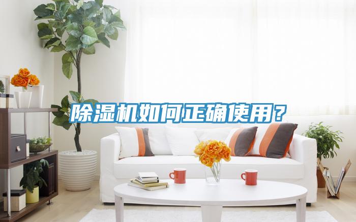 91免费网站在线观看如何正确使用？