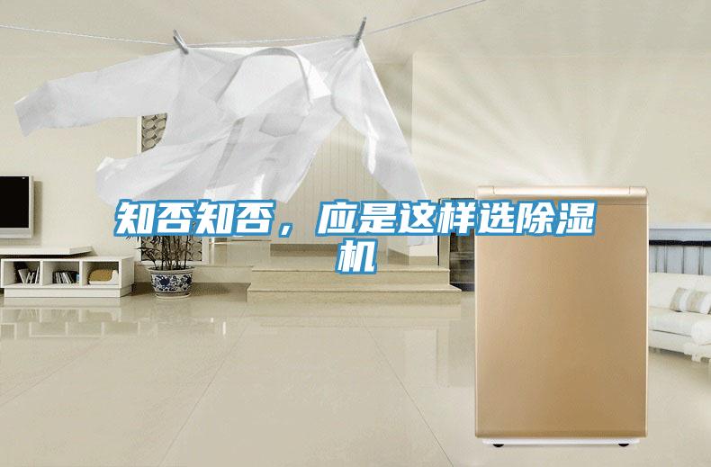 知否知否，应是这样选91免费网站在线观看