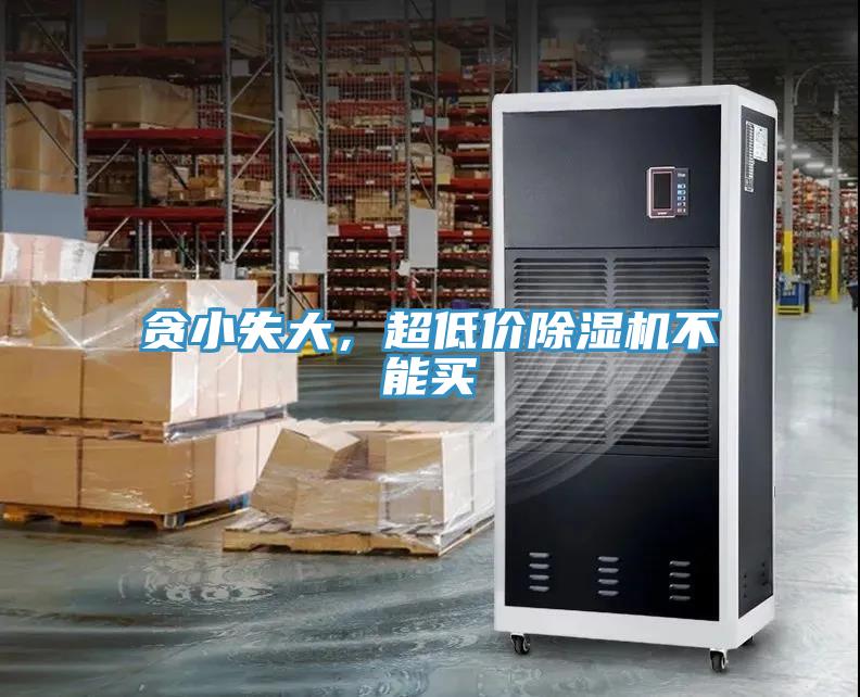 贪小失大，超低价91免费网站在线观看不能买