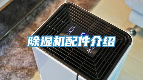 91免费网站在线观看配件介绍