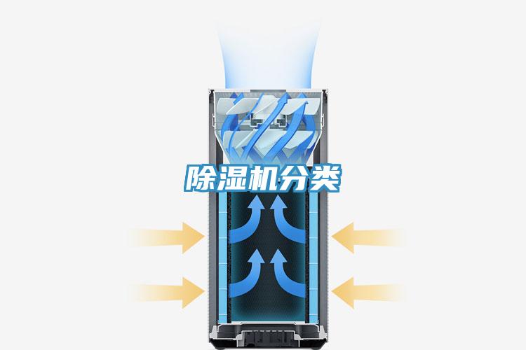 91免费网站在线观看分类