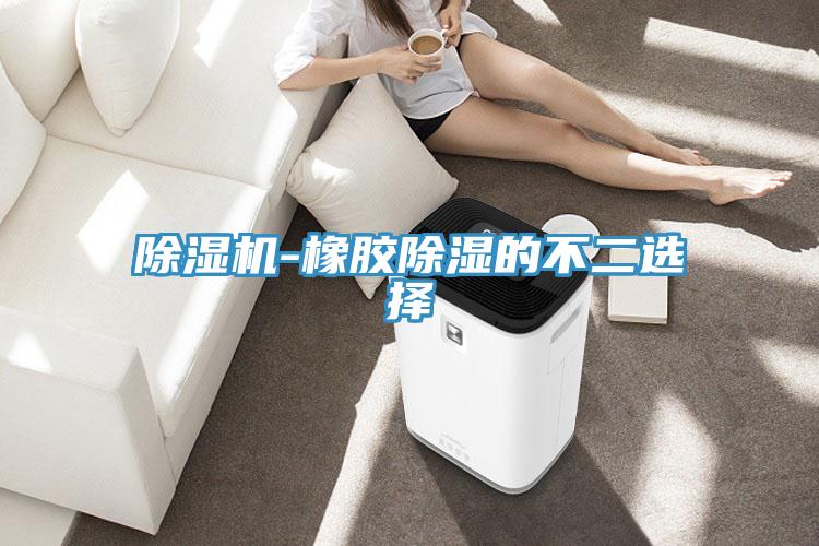 91免费网站在线观看-橡胶除湿的不二选择