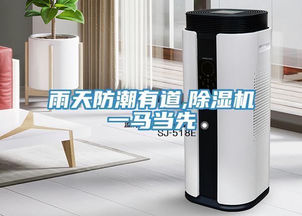 雨天防潮有道,91免费网站在线观看一马当先