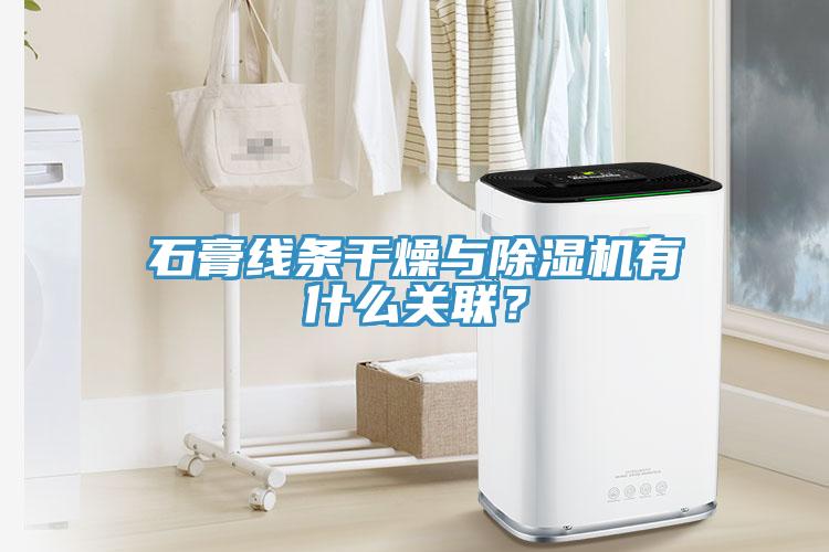 石膏线条干燥与91免费网站在线观看有什么关联？