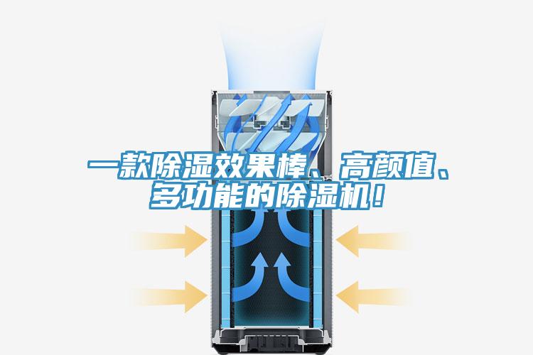一款除湿效果棒、高颜值、多功能的91免费网站在线观看！
