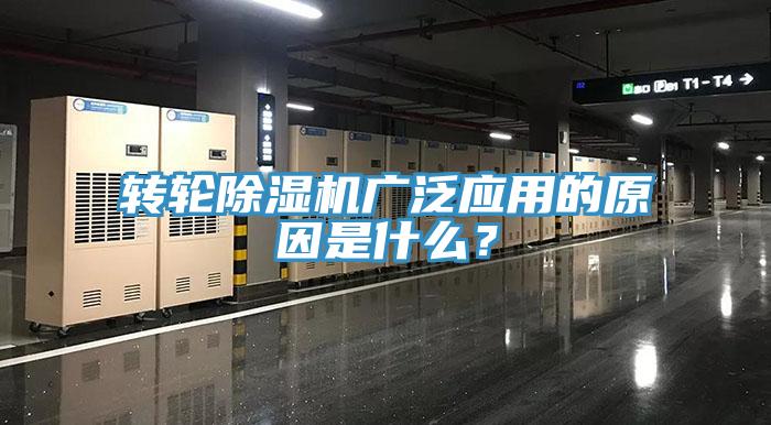 转轮91免费网站在线观看广泛应用的原因是什么？