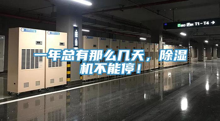 一年总有那么几天，91免费网站在线观看不能停！