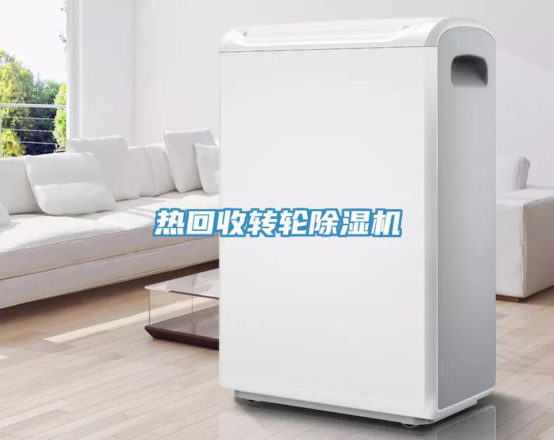 热回收转轮91免费网站在线观看