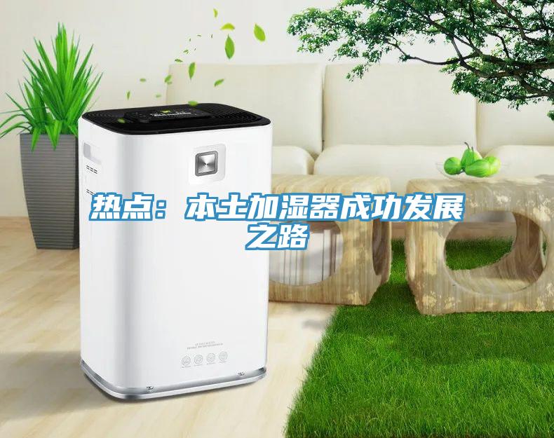 热点：本土加湿器成功发展之路